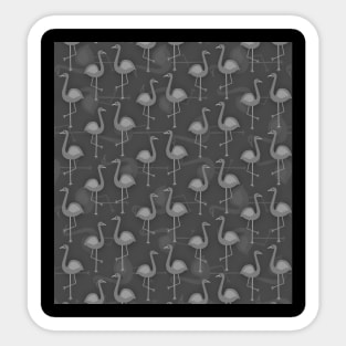 grey scale of flamingos Sticker